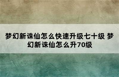 梦幻新诛仙怎么快速升级七十级 梦幻新诛仙怎么升70级